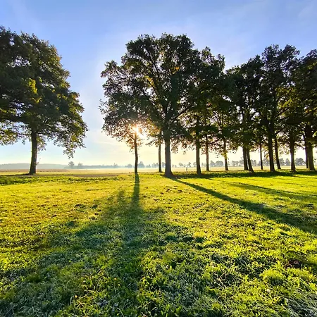 Elbtalaue Iii * Lanz