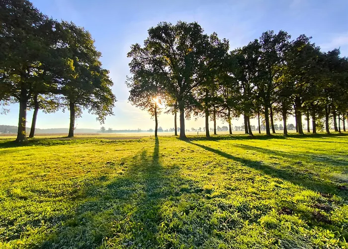 Elbtalaue Iii * Lanz